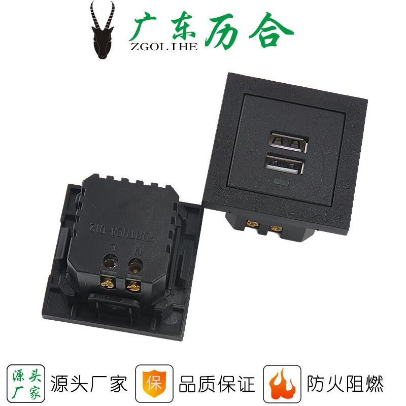 Lihe Supply Desktop Power Strip Charging Dual USB Fast Charging Power Inverter Usp Module L-Acd-1 Embedded