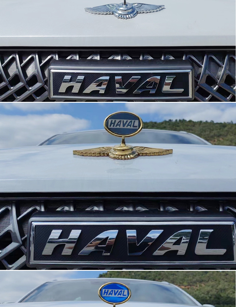 Applicable to Haver MG Volkswagen Car logo Vertical Standard Flying Eagle Standard Stainless Steel Metal Car Mark Engine Cover Vertical Standard