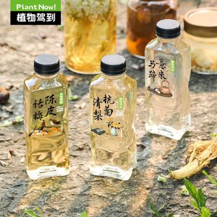 Plants arrive at 0 sugar 0 fat horseshoe barley tangerine peel, plum, Hangzhou chrysanthemum, pear juice, tea and plant beverage wholesale