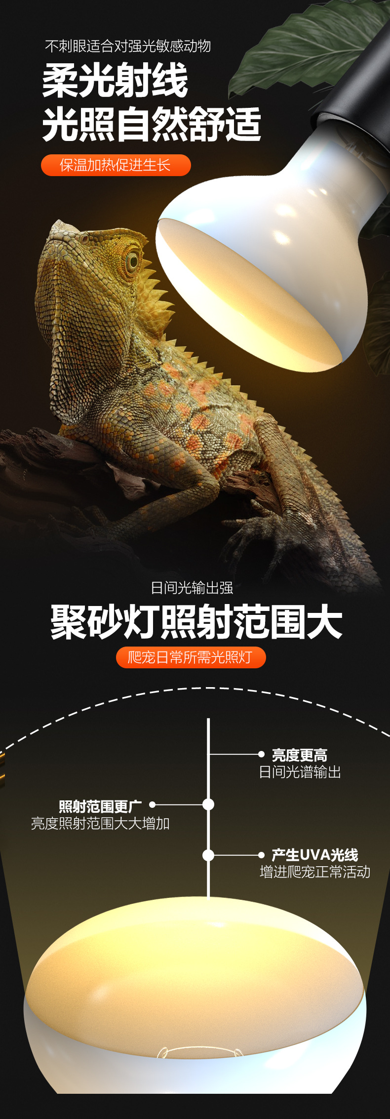 ND-05-聚砂灯2024新版_05