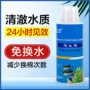 水族细菌硝化清澈鱼缸