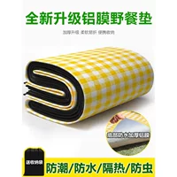 Подушка для пикника утолщенный открытый кемпинг портативный палатка подушка водонепроницаемый пол алюминиевый пленка влагостойкий коврик парк