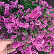 ��������a��ֱ�l��ɫ�����L�ɻ�DIY�廨�b[���������������l