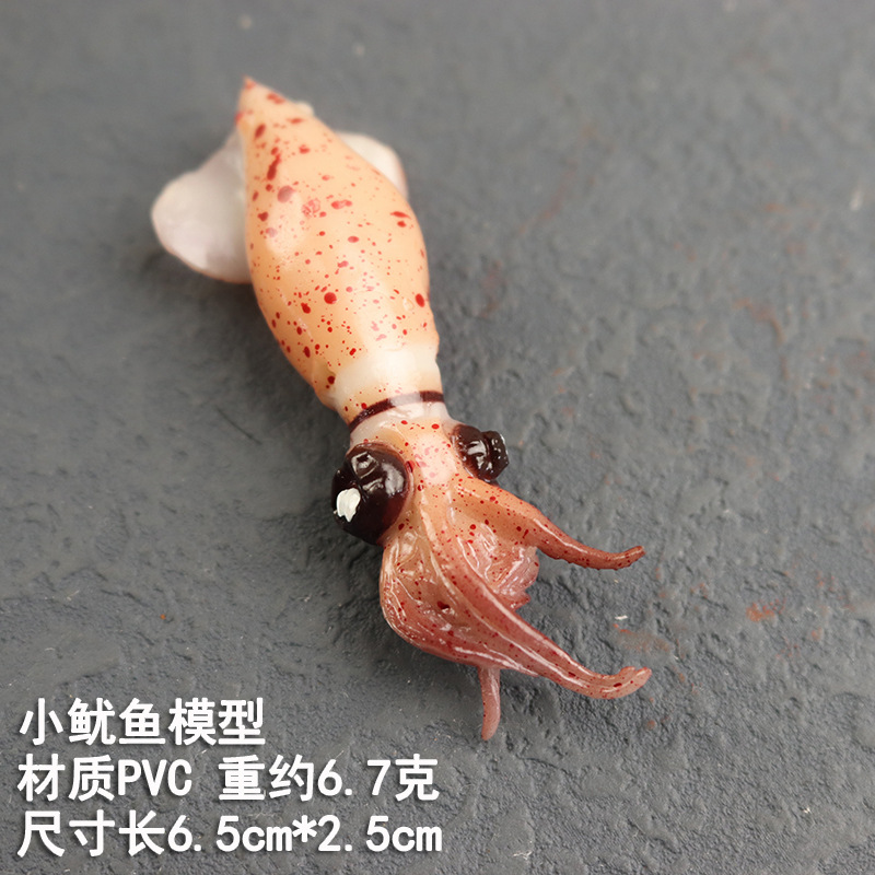 작은 오징어