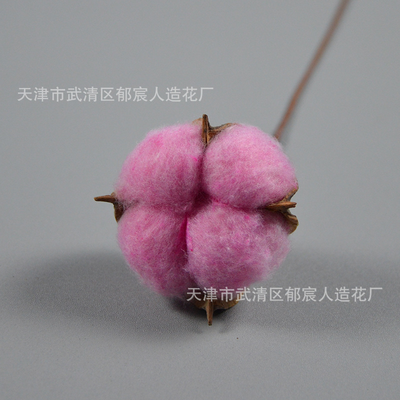 綿の単枝永生木綿の乾燥花をシミュレーションします。|undefined