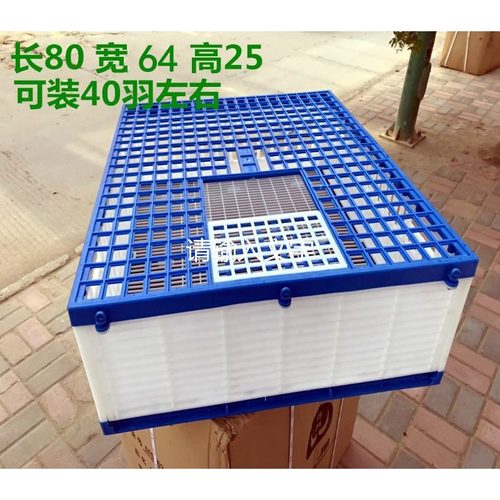 Pigeon equipment/flying cage/training cage/reporting cage/carriage pigeon plastic cage/pigeon cage/carriage pigeon cage/direct sales
