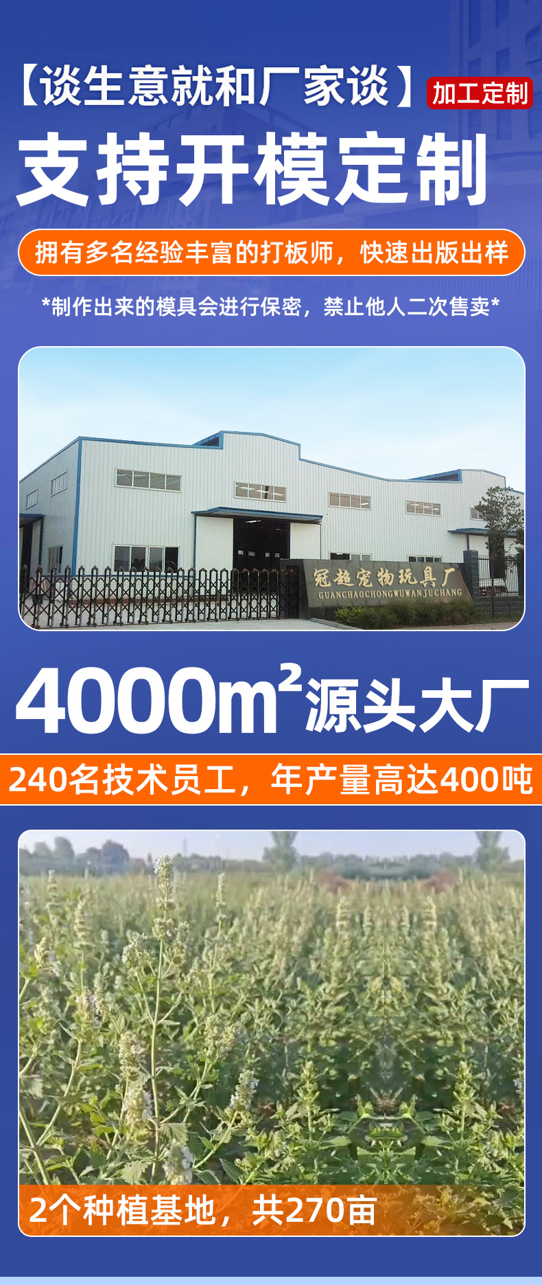 详情_01.jpg