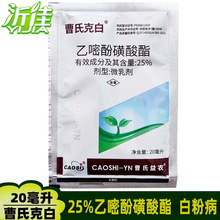 ���Ͽ˰� 25%���׷ӻ����� �S�����Ѳ�ݮ�׷۲������� 20����