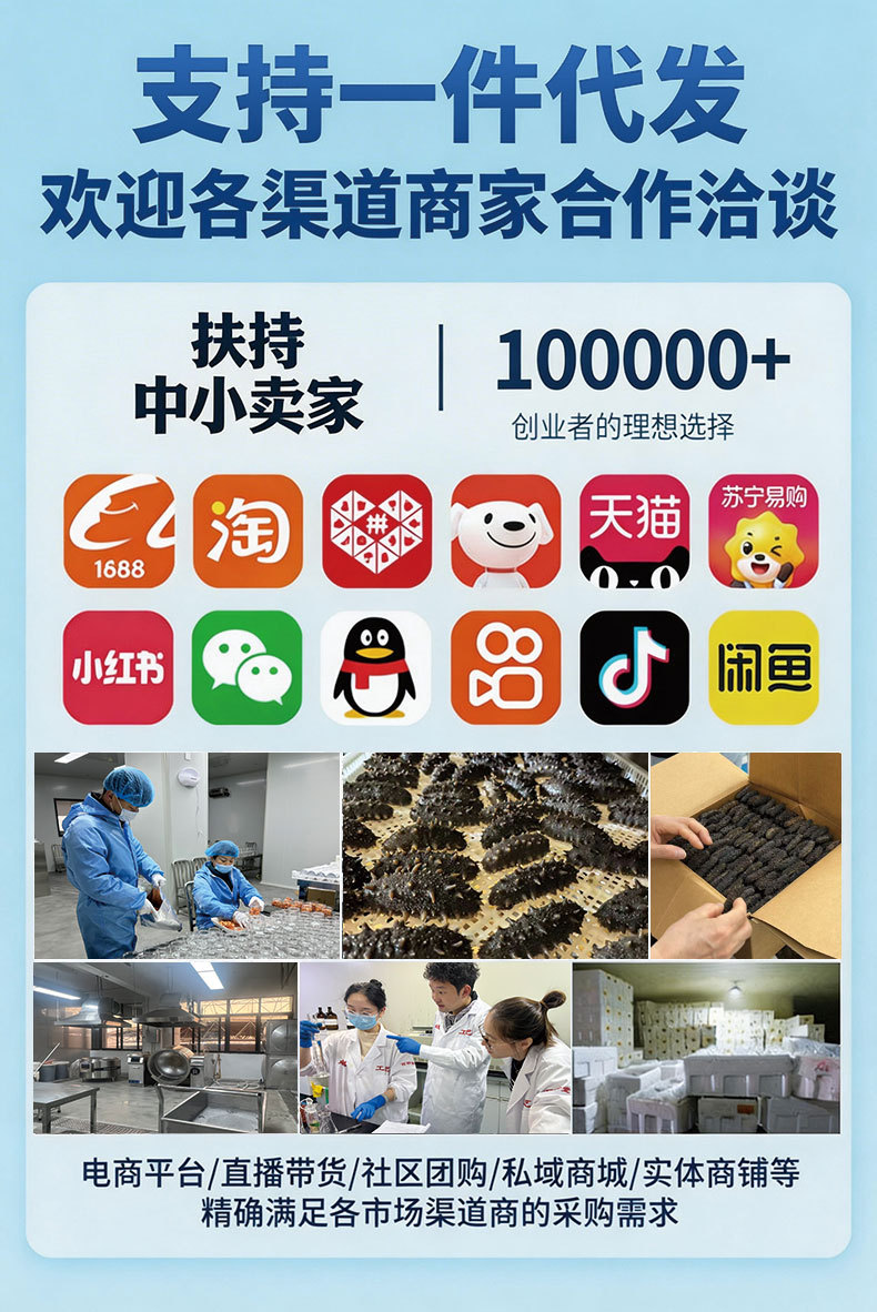 Ready to Eat Sea Cucumber Frozen Cooked 500g Vacuum Packed Seafood Supply key features