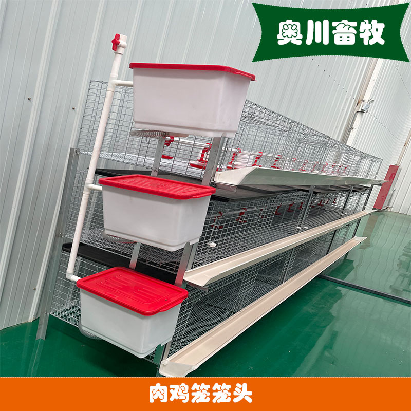蛋鸡专用笼鸡舍养鸡专用笼养殖厂喂养白槽绿槽三层两门肉鸡笼子