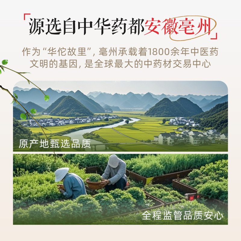 源选新款酸枣仁甘麦茶舒缓放松无添加养生茶睡眠困难好眠茶包|undefined