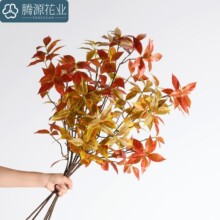 ���R�d�¿���溆�s�ҾӘ�֦�~��ɽ���~�＾������~�쾰���l�b�