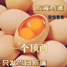 鸡蛋批发新鲜柴鸡蛋大个双黄散养土鸡蛋虫草双黄蛋农家散养土鸡蛋