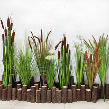 仿真芦苇蒲棒水草绿植把束蒲公英 香蒲棒水花卉  狗尾草 圆球柄草