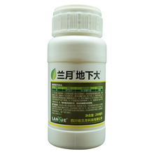 ��đ������20%�����¸��K������a�{�����L���m�µ��´�