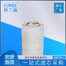 大通量替代3M折叠水滤芯 反渗透保安过滤器滤芯