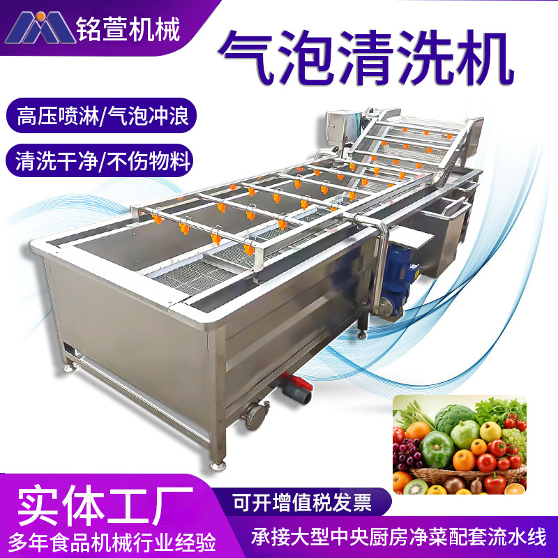 全自动气泡清洗机 水果果蔬清洗设备 净菜叶菜类辣椒蔬菜清洗机