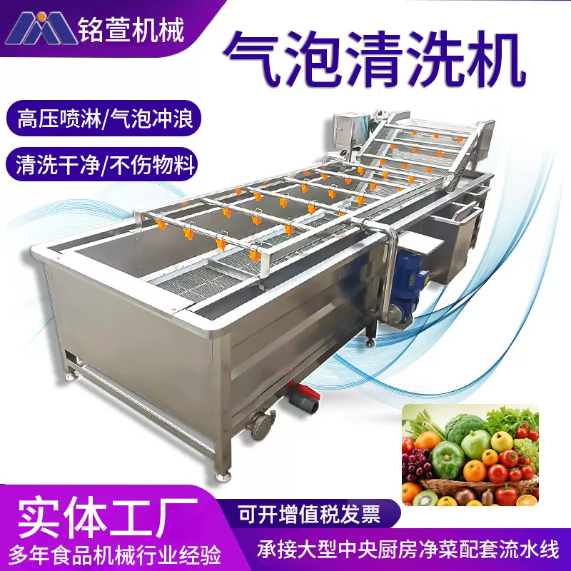 全自动气泡清洗机 水果果蔬清洗设备 净菜叶菜类辣椒蔬菜清洗机