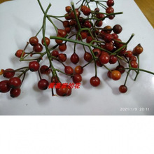 (ޱޱ��)�Լ��N�� �o���Nޱ ���� �N��