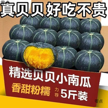 正宗贝贝南瓜板栗味小南瓜新鲜现摘3/5斤孕妇宝宝辅食老南瓜