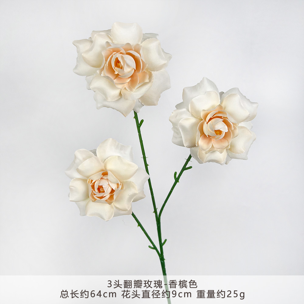 MJ-3头翻瓣玫瑰-香槟色