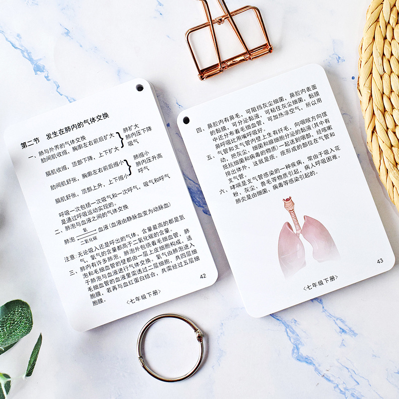 Study Guide for Junior High School Grades 7 and 8 Biology: Key Points, Exam Topics, and Comprehensive Flashcards for Memorization