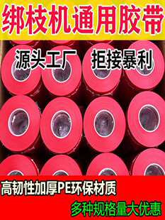 �Ӻ�֦����֦�C���������z��������S�����t�����������َ��Y��