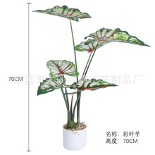 ���l�k���҃Ⱦ��^�b����ϼ�ֲ������С���·���Gֲ����ٻ��[��