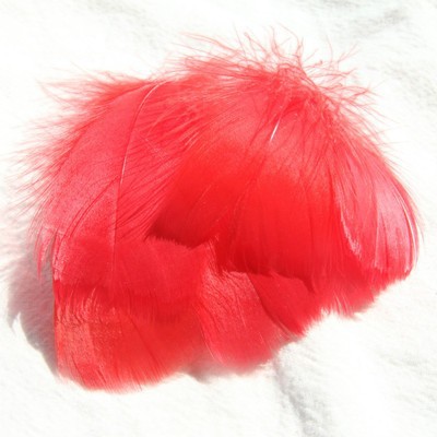 큰 빨강 (100 루트 배치)