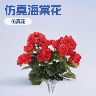 �羳���R�dTemu������N�L�����Ļ��ٻ���c�Ҿӿ͏d���ÿ��z��