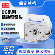 蠕动泵泵头dg系列小流量多通道泵头传输配液高精度泵头