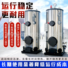 立式生物质热水锅炉 木屑颗粒供热锅炉 小型立式全自动热水锅炉