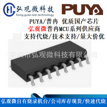 PY32F030E18M6TU SSOP24 普冉32位单片机 优质国产芯片 代烧OTP