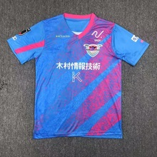 ձJِ͈Ӗ24-25BɰSagan Tosu