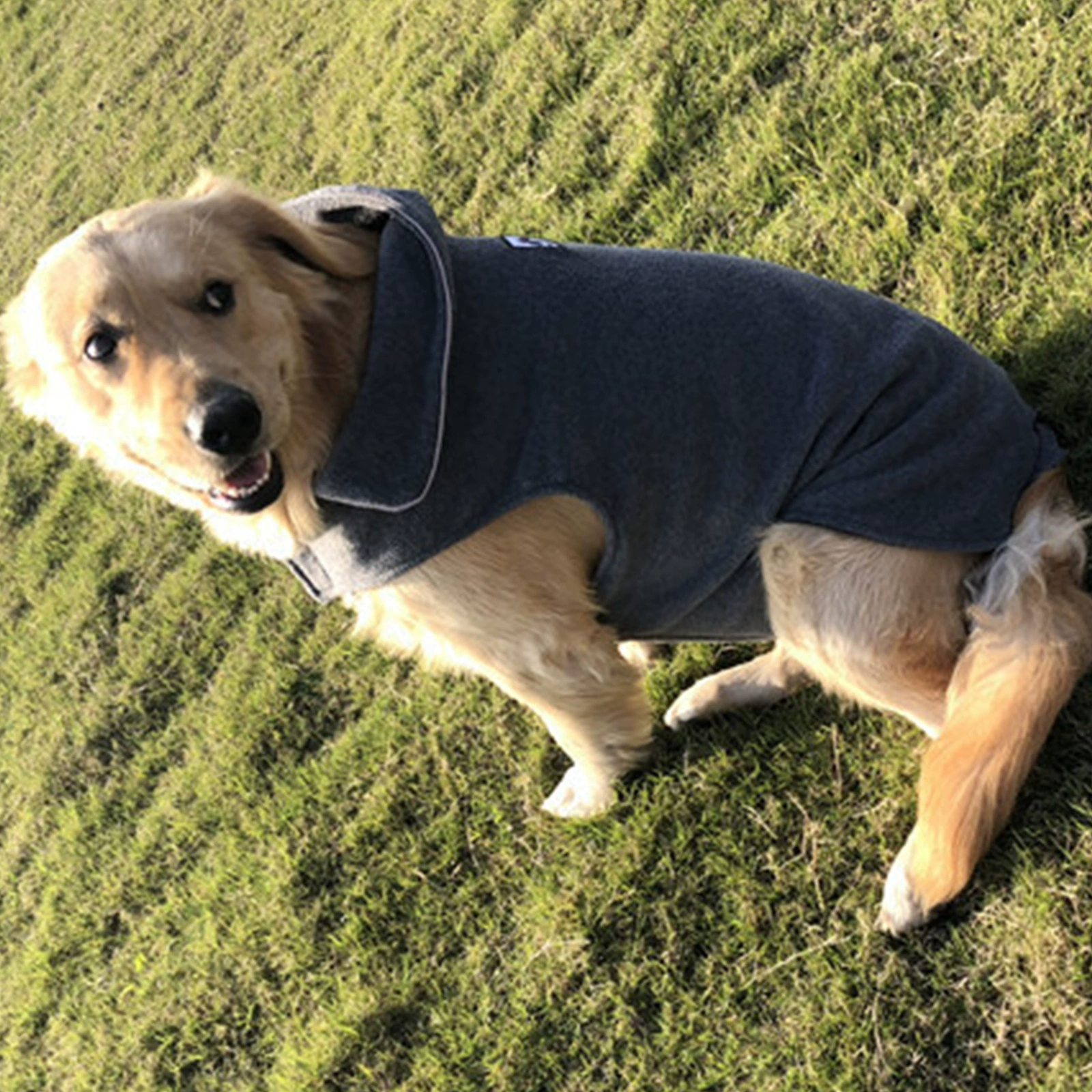 Прямая одежда для домашних животных с фабрики, Высококачественная Светоотражающая осенне-зимняя одежда для собак, одежда из Полярного флиса, двусторонний жилет