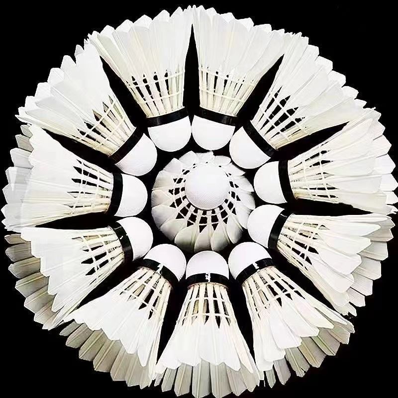 d3ea043d-3114-4dce-bbbe-035c3b1acec3.jpe