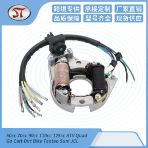 Stator alışdırma bobini aksesuarları 50cc 70cc 90cc 110cc 125cc ATV