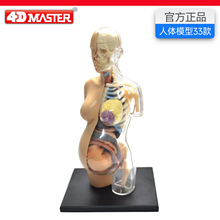 4D Master����ģ��Ů���и��ṹҽѧ��ѧ�̾߿ɲ�ж��������