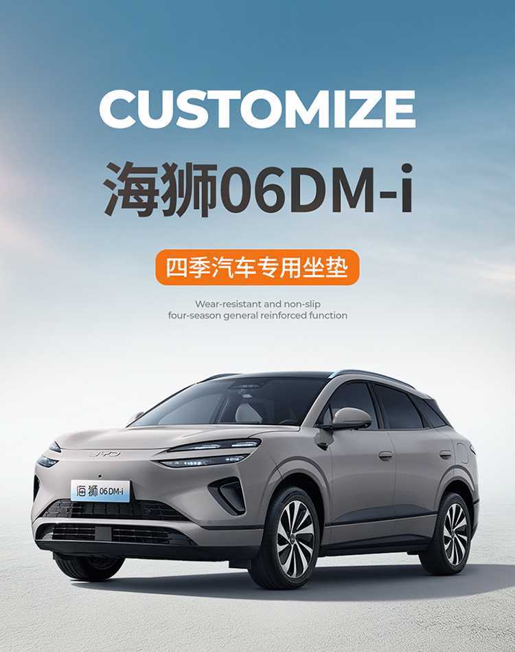 Specially designed for BYD Sea Lion 06dmi leather seat covers, full coverage Sea Lion 06ev seat covers, car seat cushions