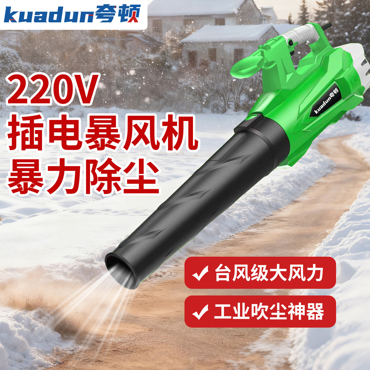 High-Power Hair Dryer Industrial-Grade Blower 220V Plug-In Powerful High-Speed Handheld Violent Turbine Hair Dryer Electric