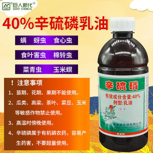 40%���������͵����x���Ϛ��x������xʳ���x�����������x���x