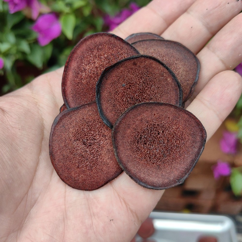 Deer Antler Blood Slices Lu Rong Xue Pian 50g Dried Slices for Soup and Wine Infusion overview