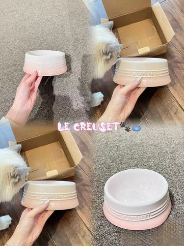 Cool Color LE CREUSET French Pet High-Feeder Protects Cervical Cat Food Bowl Cat Supplies Dog Food Bowl