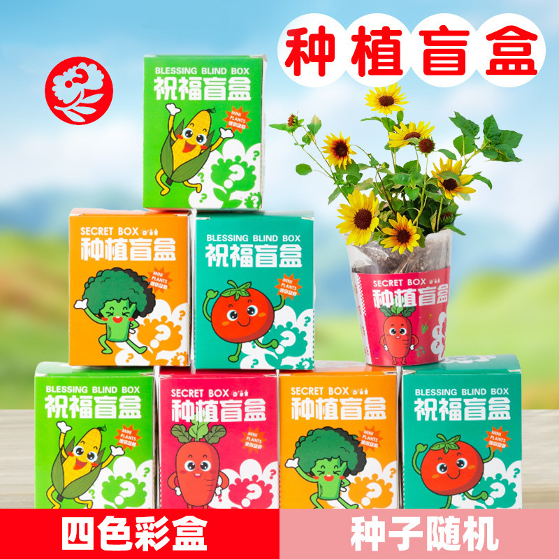 Primary School Students' Graduation Season Planting Plant Blind Box Souvenirs Kindergarten Kidsren's Whole Class Gifts Charity Sale Activities Small Commodities