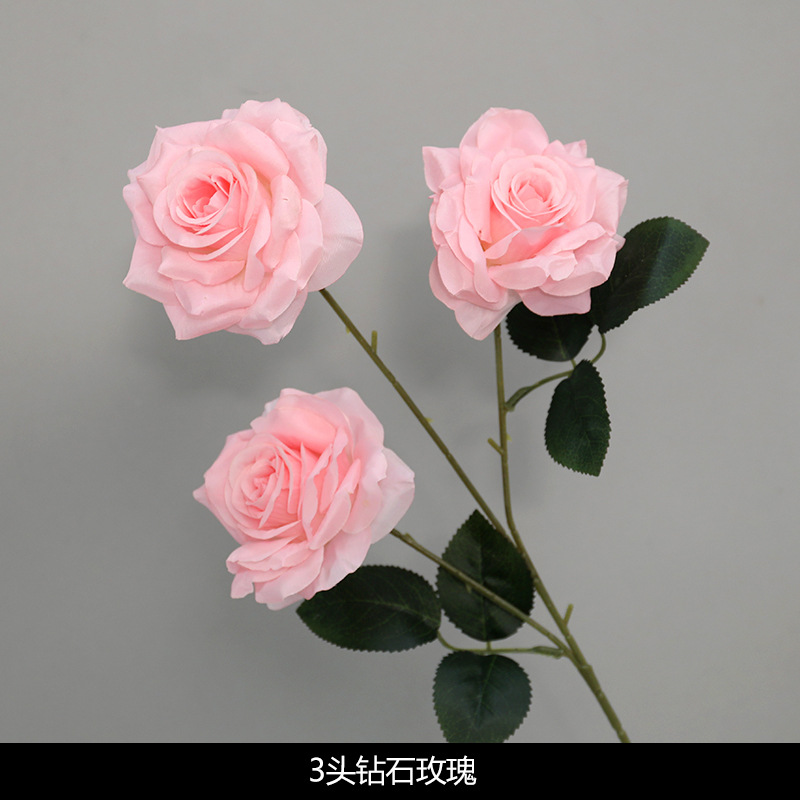 3 헤드 다이아몬드 장미