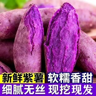 ���r�������_�m���r�F��ɳ�ط�������t�������ع��߲�5����l