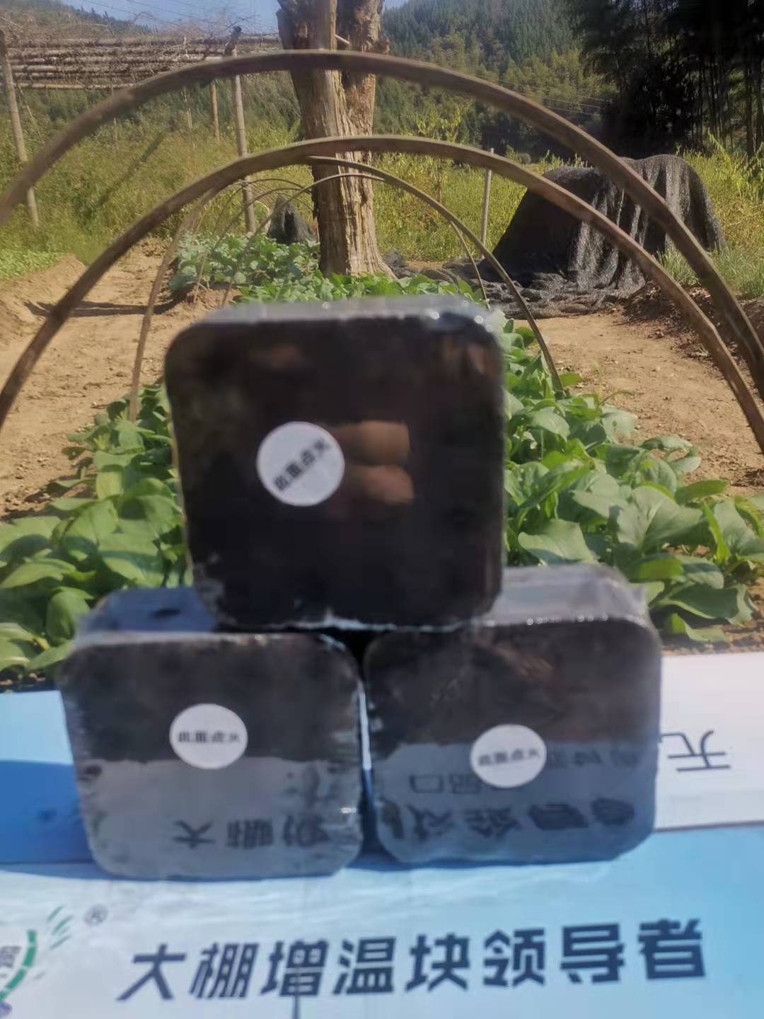 c3704311aa2d038512a3991c711c65