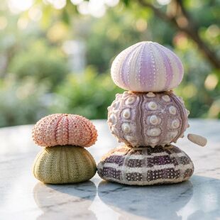 ��Ȼ��đ�� DIY���Ϻ�đ�˱��~���쾰�b[�����ղ�����đ����