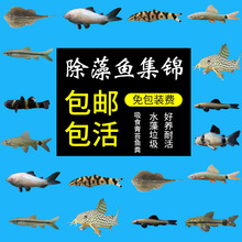 �����~������̦�ھ���������С�����^�p�ח������坍���������~