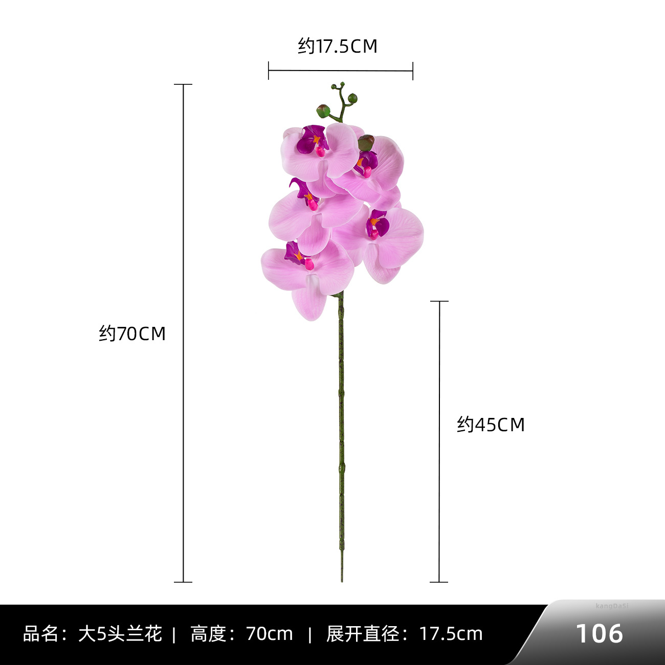 106 # 빅 5 호접란